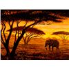 Image 1 : "Acacia's Company" - Oil on Board by Peter Blackwell