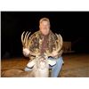 Image 2 : 3-Day Whitetail Deer Hunt for Two Hunters in Texas - Includes Trophy Fees
