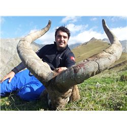 5-Day Eastern Dagestan Tur Hunt for One Hunter in the Republic of Azerbaijan - Includes Trophy Fee