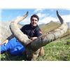 Image 1 : 5-Day Eastern Dagestan Tur Hunt for One Hunter in the Republic of Azerbaijan - Includes Trophy Fee