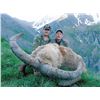 Image 2 : 5-Day Capra Species Hunt for One Hunter in Turkey or Pakistan (Hunter's Choice) - Includes Trophy Fe