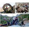 Image 3 : 5-Day Capra Species Hunt for One Hunter in Turkey or Pakistan (Hunter's Choice) - Includes Trophy Fe