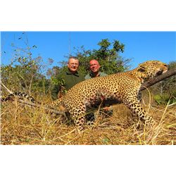 14-Day Leopard Hunt for One Hunter in Mozambique - Includes Trophy Fee