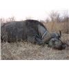 Image 3 : 6-Day/7-Night Cape Buffalo Hunt for One Hunter and One Non-Hunter in South Africa - Includes Trophy