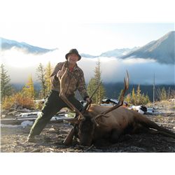 7-Day Elk Hunt for One Hunter in British Columbia