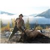 Image 1 : 7-Day Elk Hunt for One Hunter in British Columbia