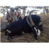 Image 1 : 10-Day Sable Hunt for One Hunter and One Non-Hunter in Zimbabwe - Includes Trophy Fee