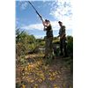 Image 3 : 4-Day High Volume Dove Hunt for Four Hunters in Cordoba, Argentina