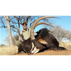 7-Day/6-Night Sable Bull Hunt for One Hunter in South Africa - Includes Trophy Fee