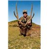 Image 1 : 5-Day Javan Rusa Deer Hunt for One Hunter in South Australia - Includes Trophy Fee