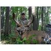Image 4 : 4-Day Whitetail Deer Hunt for Two Hunters in Minnesota - Includes Trophy Fees