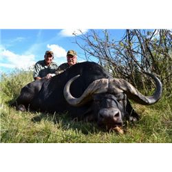 7-Day Cape Buffalo Hunt for One Hunter in South Africa - Includes Trophy Fee