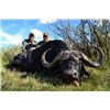Image 1 : 7-Day Cape Buffalo Hunt for One Hunter in South Africa - Includes Trophy Fee