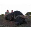 Image 3 : 7-Day Cape Buffalo Hunt for One Hunter in South Africa - Includes Trophy Fee