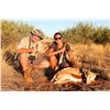 Image 2 : 7-Day Plains Game Hunt for Two Hunters in Namibia - Includes Trophy Fees
