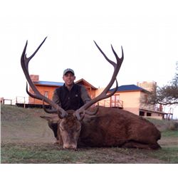 7-Day Big Game Hunt for Two Hunters and One Non-Hunter in Argentina - Includes Trophy Fees