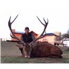 Image 1 : 7-Day Big Game Hunt for Two Hunters and One Non-Hunter in Argentina - Includes Trophy Fees