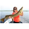 Image 4 : 4-Day Fishing Trip for Two Anglers in Manitoba, Canada