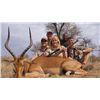 Image 1 : 7-Day Plains Game for Two Hunters and Two Non-Hunters in South Africa - Includes Trophy Fees, Wingsh