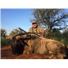 Image 3 : 7-Day Plains Game for Two Hunters and Two Non-Hunters in South Africa - Includes Trophy Fees, Wingsh