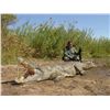 Image 1 : 7-Day Crocodile and Plains Game Hunt for One Hunter in Mozambique - Includes Taxidermy Credit
