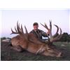Image 1 : 5-Day Mixed Bag Safari for Four Hunters in Argentina - Includes Trophy Fees