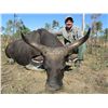 Image 1 : 6-Day Banteng Bull Hunt for One Hunter in Australia - Includes Trophy Fee