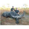 Image 3 : 6-Day Banteng Bull Hunt for One Hunter in Australia - Includes Trophy Fee