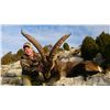 Image 2 : 4-Day Beceite Ibex Hunt for One Hunter in Spain - Includes Trophy Fee Credit