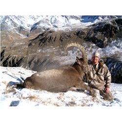 7-Day Mid-Asian Ibex Hunt for One Hunter in Kyrgyz Republic - Includes Trophy Fee