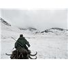 Image 2 : 7-Day Mid-Asian Ibex Hunt for One Hunter in Kyrgyz Republic - Includes Trophy Fee