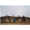 Image 1 : 4-Day/3-Night Whitetail Deer Hunt for One Hunter and One Non-Hunter in Texas - Includes Trophy Fee