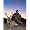 Image 2 : 4-Day/3-Night Whitetail Deer Hunt for One Hunter and One Non-Hunter in Texas - Includes Trophy Fee