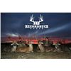 Image 3 : 4-Day/3-Night Whitetail Deer Hunt for One Hunter and One Non-Hunter in Texas - Includes Trophy Fee