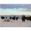 Image 3 : 3-Day American Bison Hunt for One Hunter and One Non-Hunter in New Mexico - Includes Trophy Fee
