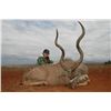 Image 1 : 10-Day Plains Game Hunt for Two Hunters in South Africa - Includes Trophy Fees