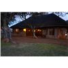 Image 2 : 10-Day Plains Game Hunt for Two Hunters in South Africa - Includes Trophy Fees
