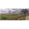 Image 3 : 10-Day Plains Game Hunt for Two Hunters in South Africa - Includes Trophy Fees