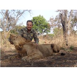 12-Day Lion Hunt for One Hunter in Cameroon