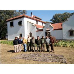 5-Day Dove Hunt for Four Hunters in Argentina