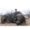 Image 1 : 10-Day Cape Buffalo Hunt for One Hunter and One Observer in South Africa - Includes Trophy Fee and T