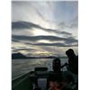 Image 2 : 10-Day Alaska Brown Bear and Wolf Hunt for One Hunter - Includes Trophy Fees and Fishing Opportuniti