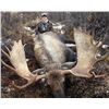 Image 1 : 10-Day Moose Hunt for One Hunter in the Yukon Territory