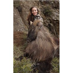 5-Day Tahr Hunt for Two Hunters and Two Non-Hunters in New Zealand - Includes Trophy Fees