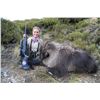 Image 3 : 5-Day Tahr Hunt for Two Hunters and Two Non-Hunters in New Zealand - Includes Trophy Fees