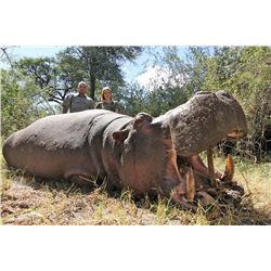 10-Day Buffalo, Crocodile and Hippo Hunt for One Hunter and One Non-Hunter in Namibia - Includes Tro