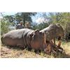 Image 1 : 10-Day Buffalo, Crocodile and Hippo Hunt for One Hunter and One Non-Hunter in Namibia - Includes Tro
