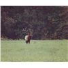 Image 3 : 4-Day Celebrity Elk Hunt for One Hunter and One Observer in Texas - Includes Trophy Fees/Comes with