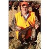 Image 3 : 3-Day South Dakota Wild Pheasant Hunt with Private Round-Trip Air Charter for Three to Seven Hunters