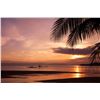 Image 2 : 3-Day Tower Boat Fishing Package for Two Anglers in Costa Rica - Includes Spa Credit